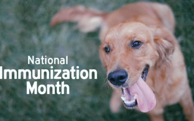 Happy National Immunization Awareness Month!