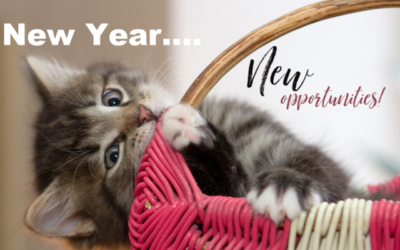 A New Year Equals New Opportunities to Be a Great Pet Owner!