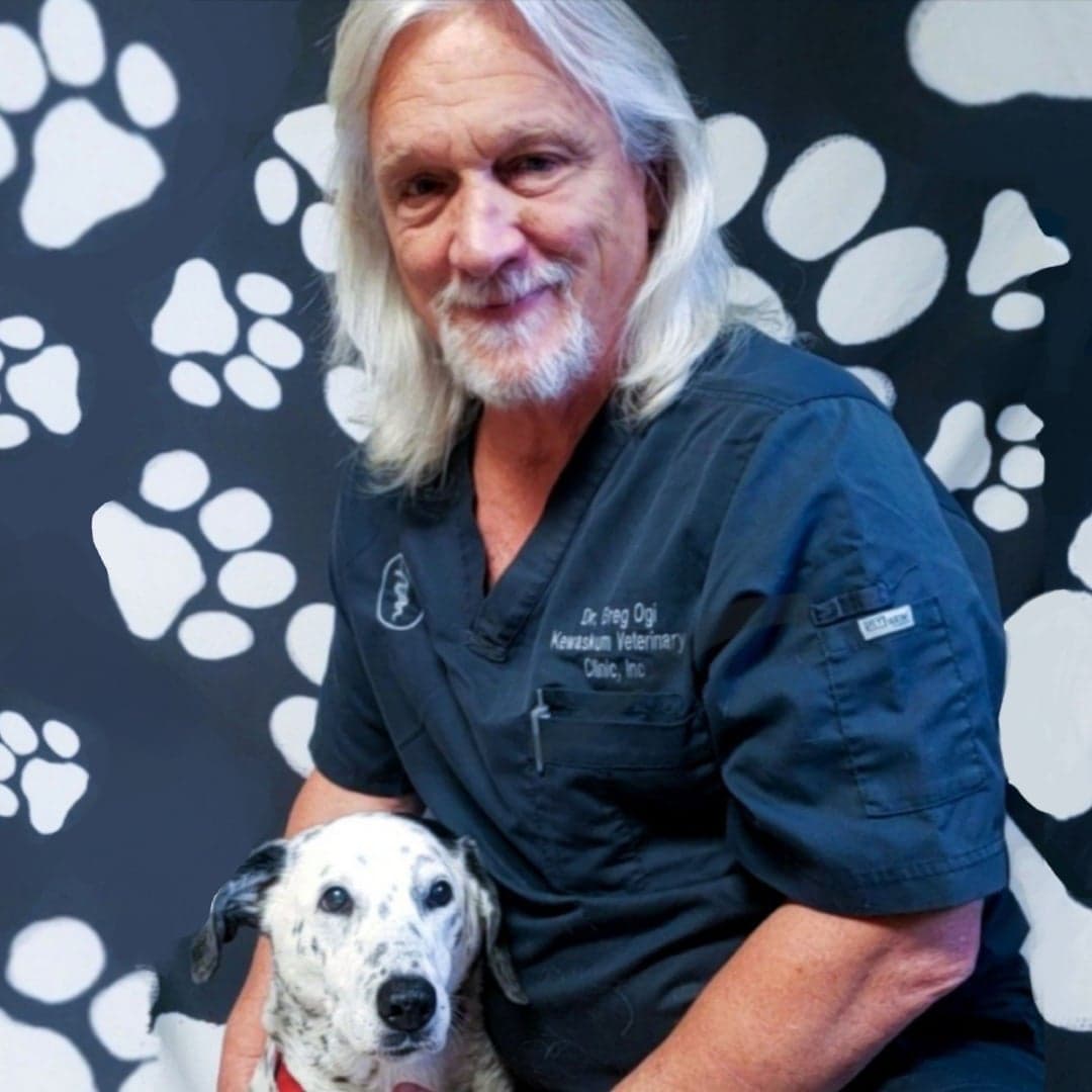 Dr. Gregory Ogi