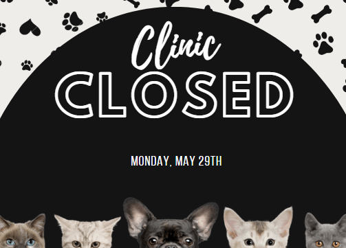 clinicclosed-MAY29