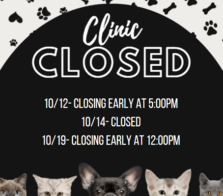 closed-final