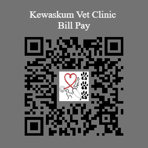 Bill pay QR code